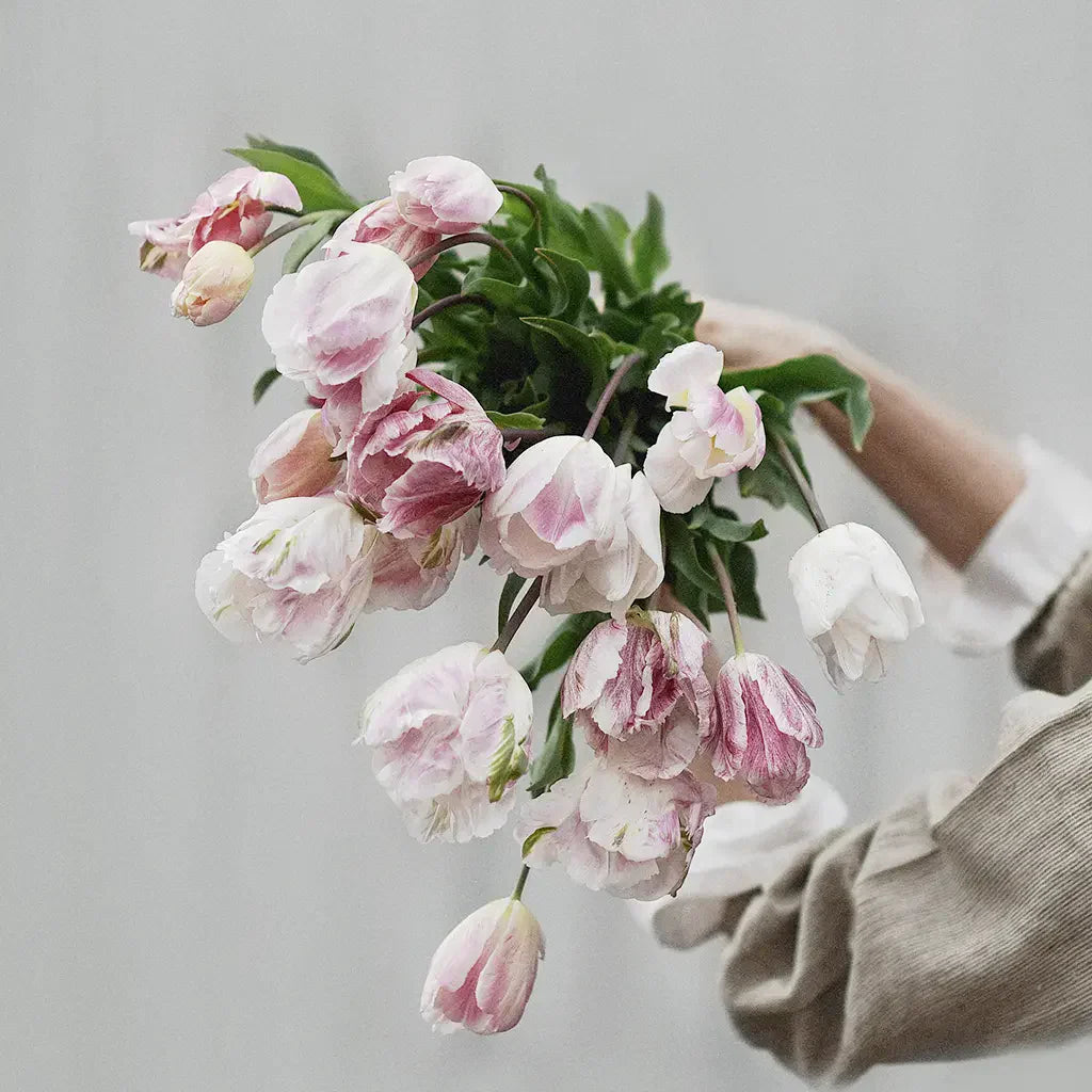 Pink tulips in bouquet