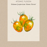 Tomato 'Atomic Fusion'