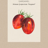 Tomato 'Gargamel'