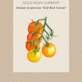 Tomato 'Gold Rush Currant'