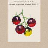 Tomato 'Midnight Snack'