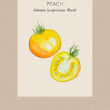 Tomato 'Peach'