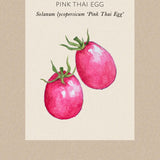 Tomato 'Pink Thai Egg'