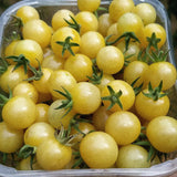 Tomato 'White Currant'